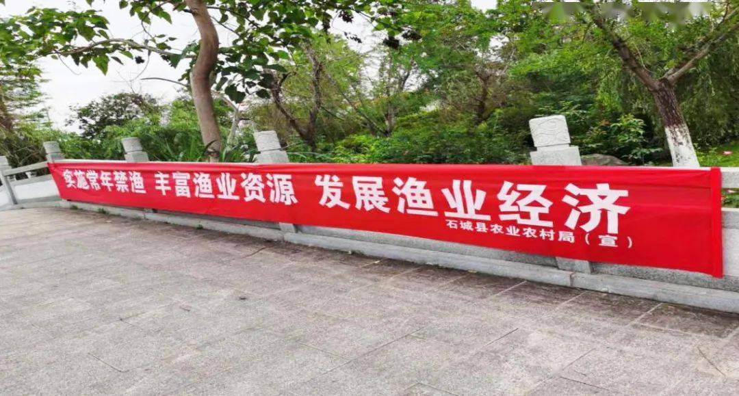 网页美学 第4页
